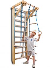Дитячий спортивний куточок SportBaby Sport 2-220